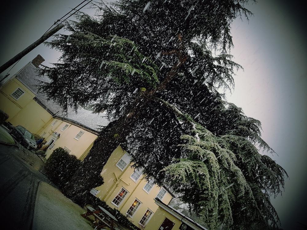 The Cedars Hotel Stowmarket Dış mekan fotoğraf